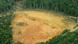 Brazil clear-cutting in the Amazon Brazil clear-cutting in the Amazon