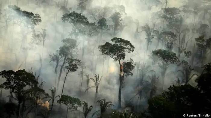 Brasilien Amazonas Regenwald Brandrodung