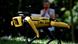 Asien Singapur Roboter Hund Park Patrouille Asien Singapur Roboter Hund Park Patrouille