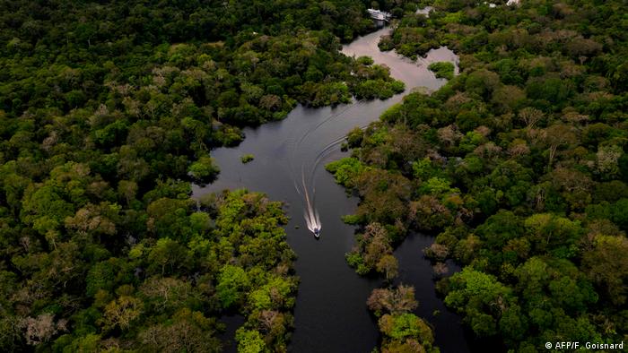 Caracterizada por su gran diversidad natural y cultural, la Amazonia es además el sumidero de carbono más grande del mundo, ya que almacena entre 150 y 200 mil millones de toneladas de carbono en sus suelos y vegetación
