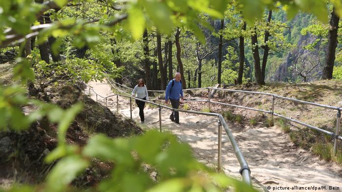 Two hikers on a forest path, Rosstrappe, Harz Mountains, Germany (picture-alliance/dpa/M. Bein)