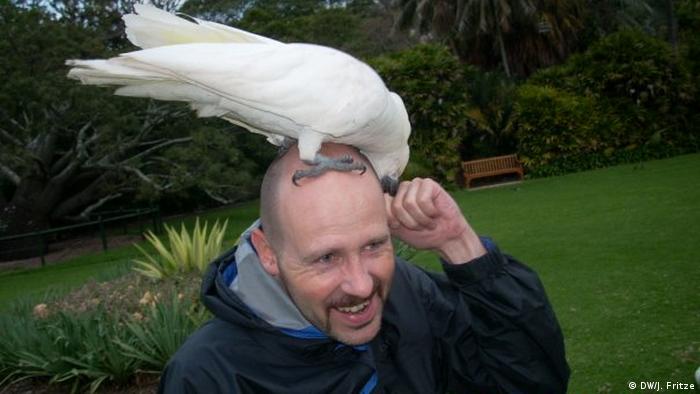 Parrot on the head of Jens Fritze, Sydney, Australia (DW/J. Fritze)