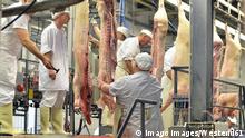 Coronavirus: Fourth large outbreak at German slaughterhouse