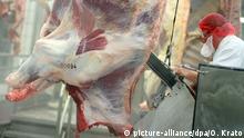 Kabinett beschließt neue Regeln für die Fleischindustrie