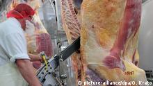 ARCHIV **** HANDOUT - Ein Mitarbeiter zerteilt am 31.03.2014 im Schlachthof der Firma Vion in Bad Bramstedt mit einer Säge ein Rind. Foto: Oliver Krato/dpa +++(c) dpa - Bildfunk+++ | Verwendung weltweit