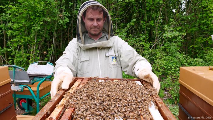 Frankreich Bienen und Imker