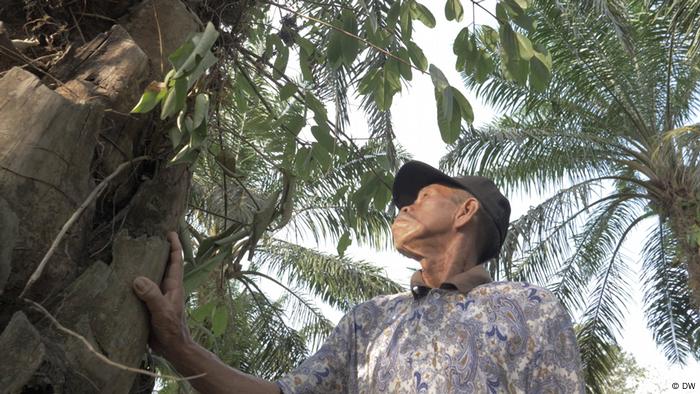 Syafei, vecino de Rukam, junto a una palma aceitera en Indonesia 