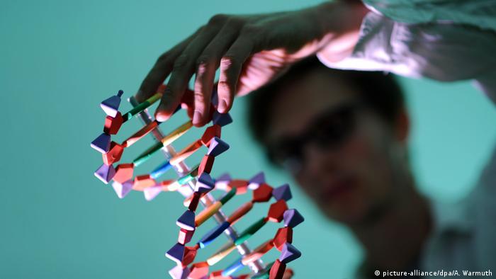 Модель структури ДНК
