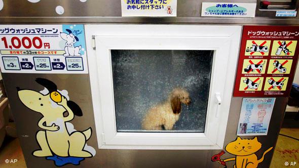 reversible dog collar