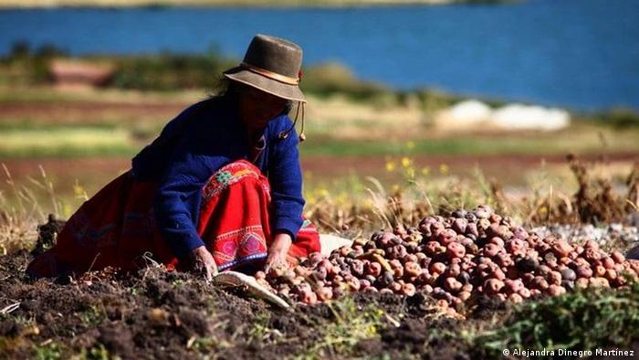 Campesina del Perú con su cosecha de papas