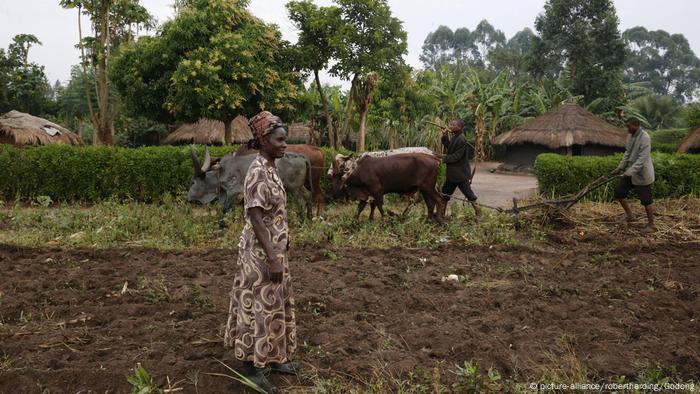 Uganda Landwirtschaft