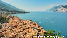 Luftaufnahme der Stadt Malcesine am Gardasee, Italien;
Aerial view of the city Malcesine at lake Garda, Italy | Verwendung weltweit