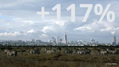 Zebras weiden in einer Steppe vor Nairobi