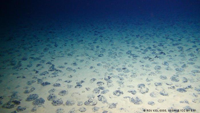 Manganese nodules on the deep seabed at the Clarion-Clipperton Zone in the Pacific (ROV KIEL 6000, GEOMAR (CC BY 4.0) )