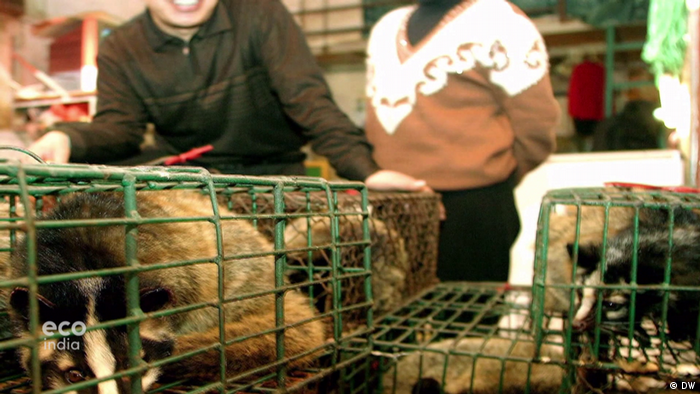 Wild Animal Markets Deadly Potential Eco India Dw 15 01 2021