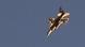 جت جنگنده F16 اسرائیل
