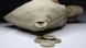 A sack of euro coins with a tiny hole A sack of euro coins with a tiny hole
