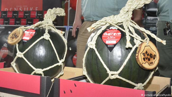 Premium Densuke watermelon fetches less than €1,820 at Japan auction | News  | DW | 15.06.2020