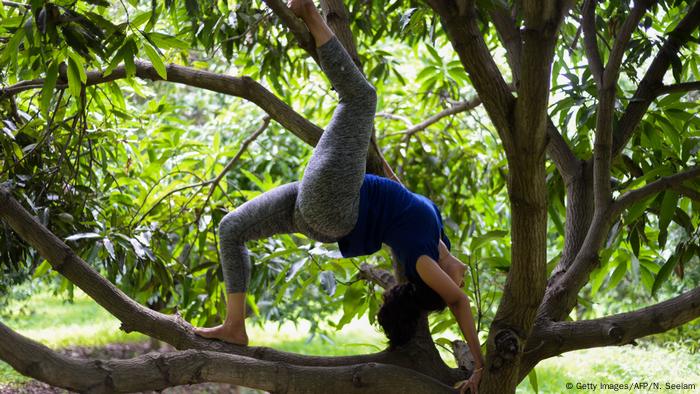 A woman performs a back bend in the branches of a tree