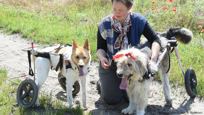 Martina Tets with her charges - Misha (left) and Iza (right)