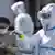 Медицинский работник в белом защитном костюме