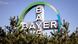 Bayer's company logo Bayer's company logo