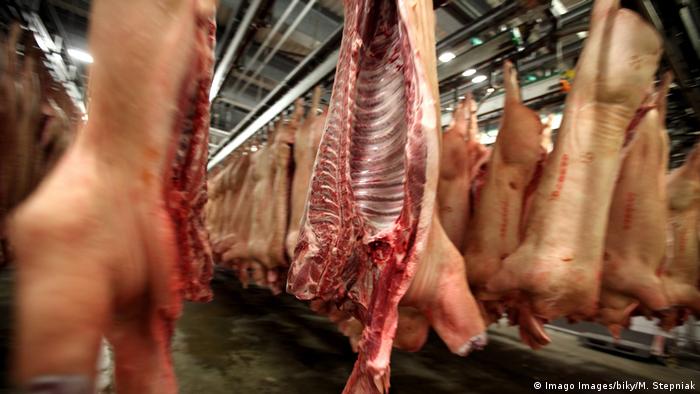 Slaughtered animals hanging in the Tönnies processing plant