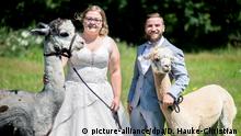 Deutschland | Hochzeitsevent auf dem Alpakagestüt
