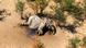 Rätselhaftes Elefantensterben im Okavango Delta, Botswana, Bostwana Rätselhaftes Elefantensterben im Okavango Delta, Botswana, Bostwana