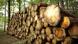 Мораторій на експорт лісу-кругляка до ЄС: арбітраж виніс рішення Мораторій на експорт лісу-кругляка до ЄС: арбітраж виніс рішення