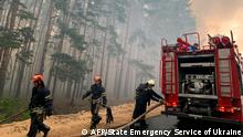 This handout picture taken and released by the press service of the State Emergency Service of Ukraine on July 7, 2020 shows firefighters extinguishing a wildfire at Novoaydarivsk district, Lugansk region. - Five people died and nine were hospitalised after a major forest fire in eastern Ukraine, authorities said on July 7. The fire started the day before in the Lugansk region, part of which is in the hands of the pro-Russian separatists, and has spread over more than 80 hectares, the State Emergency Situations Service said in a statement. (Photo by Handout / State Emergency Service of Ukraine / AFP) / RESTRICTED TO EDITORIAL USE - MANDATORY CREDIT AFP PHOTO / HANDOUT / STATE EMERGENCY SERVICE OF UKRAINE PRESS SERVICE - NO MARKETING - NO ADVERTISING CAMPAIGNS - DISTRIBUTED AS A SERVICE TO CLIENTS