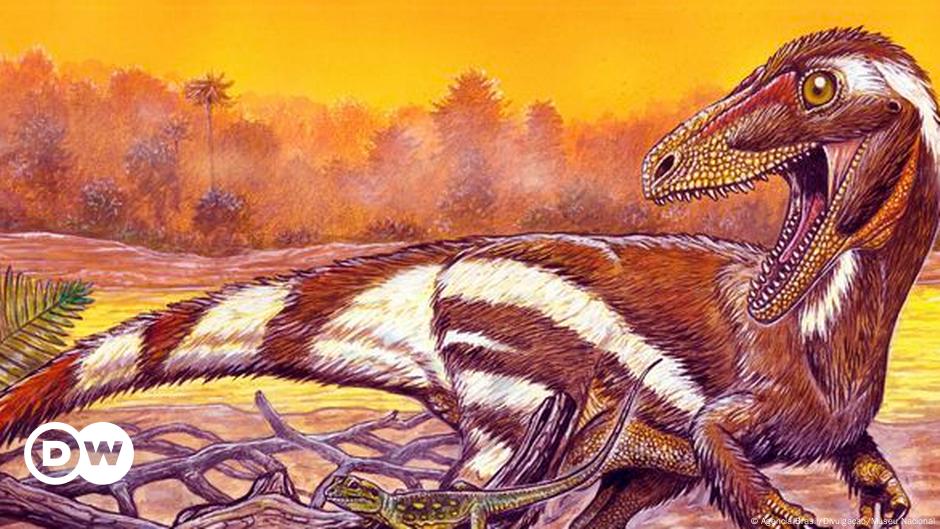 Scientists Discover 115-million-year-old Fossil Of New Dinosaur Species ...