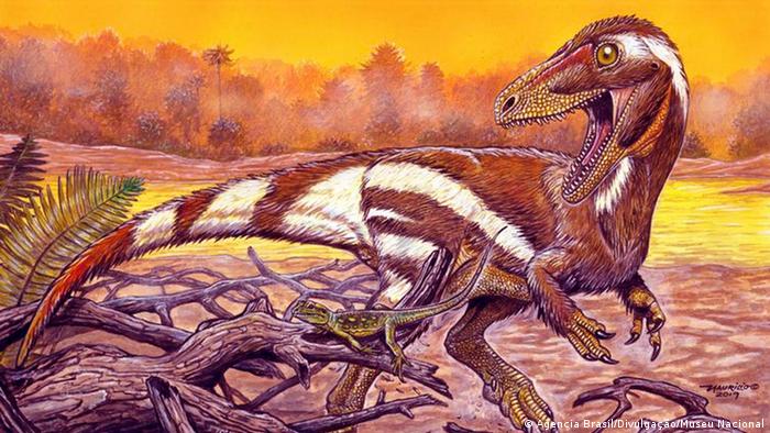 巴西发现新恐龙化石是中国左龙亲戚 科技环境 Dw 12 07