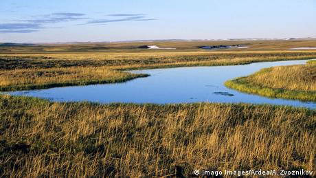 Сибирската тундра може да изчезне почти изцяло предупреждават експерти А