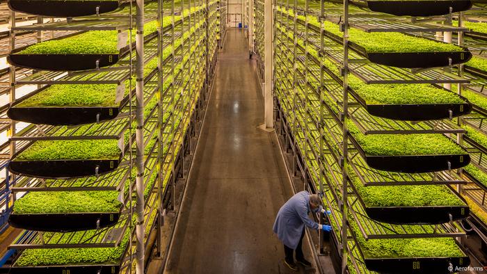 Un almacén agrícola vertical. 