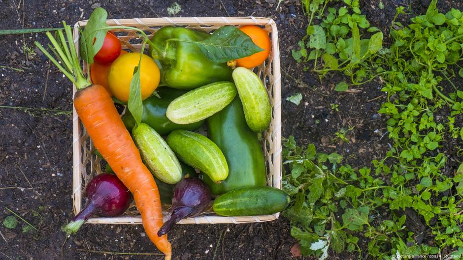 Eating Raw Fruit Vegetables DW 11 12 2021