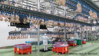Όλο και μεγαλύτερη η ζήτηση για μαζική επεξεργασία κρέατος σε προσιτές τιμές