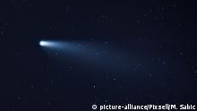 Komet Neowise zu Besuch in der Nähe der Erde