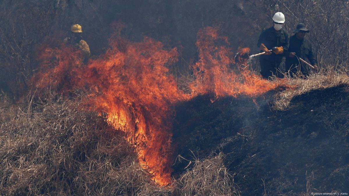 Bolivia incendios han alcanzado casi 300.000 hectáreas DW 28/08/2022