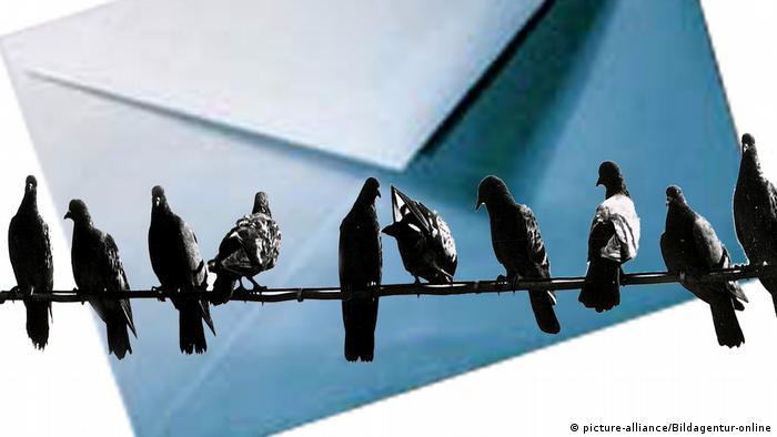 拒政治承诺遭除名中华鸟会英文名改为taiwan 德国之声来自德国介绍德国 Dw 25 09