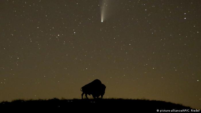 Comet NeoWise in the sky over Ontario