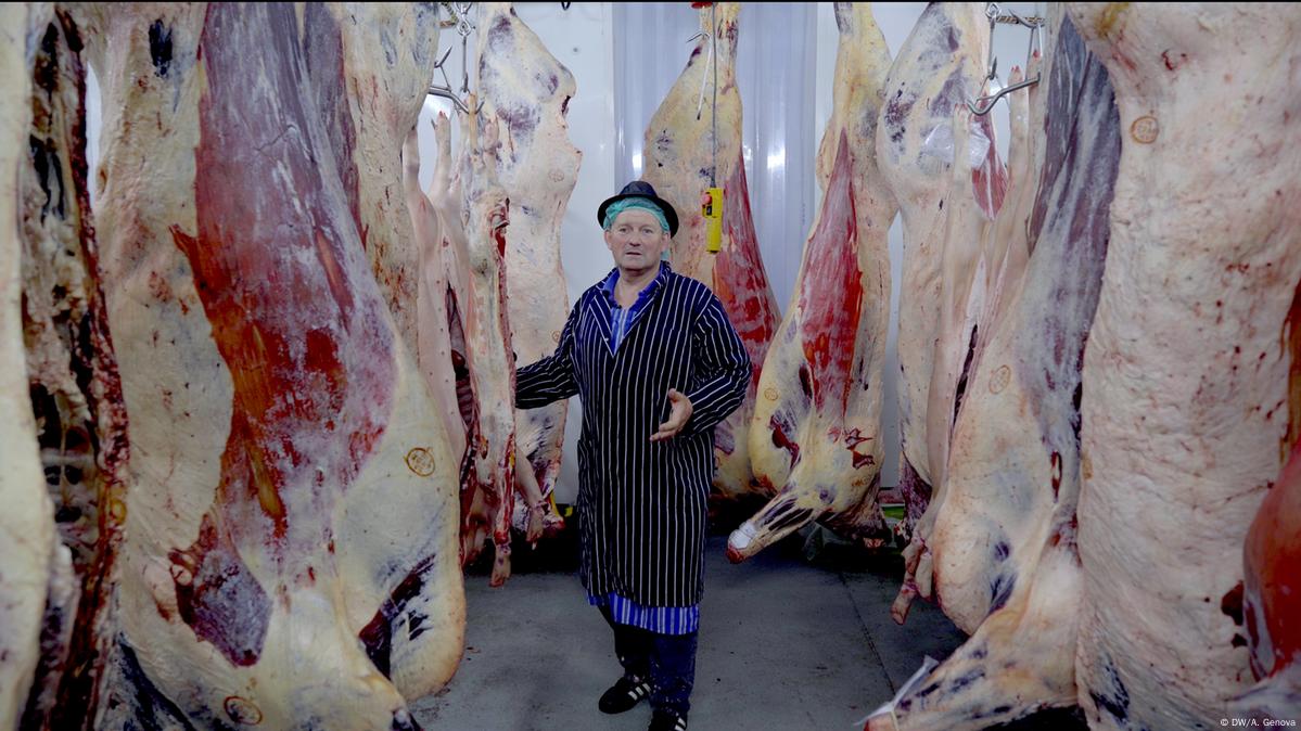 The vital role of local slaughterhouses in ethical farming – DW – 08/05/2020 The vital role of local slaughterhouses in ethical farming – DW – 08/05/2020