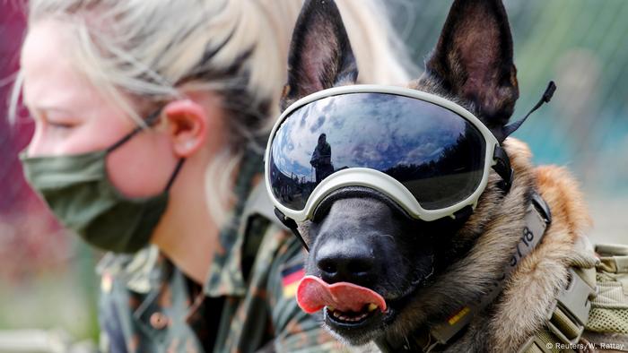 Scharfschützenhundewein und Soldat der deutschen Armee