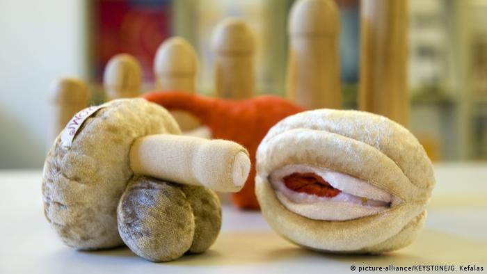 Ein Stofftier Penis und eine Stofftier Vagina liegen auf einem Tisch. Sie werden in der Schweiz für die Aufklärung im Sexualkundeunterricht genutzt. 