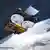 An diesem Donnerstagnachmittag (8. April, 15.57 Uhr MESZ) soll der europäische Eisforschungssatellit «CryoSat-2» (undatierte ESA-Darstellung) starten und mindestens drei Jahre lang die Dicke des Land- und Meereises auf den Zentimeter genau vermessen. Wissenschaftler aus aller Welt warten mit Spannung auf Daten, die in Kürze aus 720 Kilometern Höhe aus dem All kommen sollen. Auf dem russischen Weltraumbahnhof Baikonur in Kasachstan läuft der Countdown für eine der wichtigsten Weltraumexpeditionen der vergangenen Jahre. Foto: Astrium/ESA (zu dpa 0499 vom 06.04.)