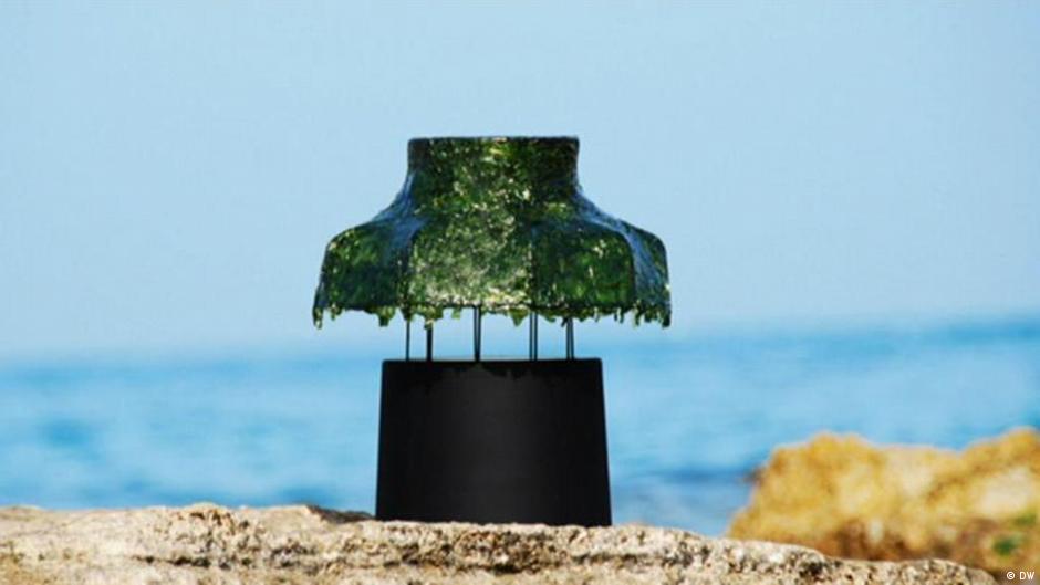 Designs inspired by nature – DW – 08/03/2020