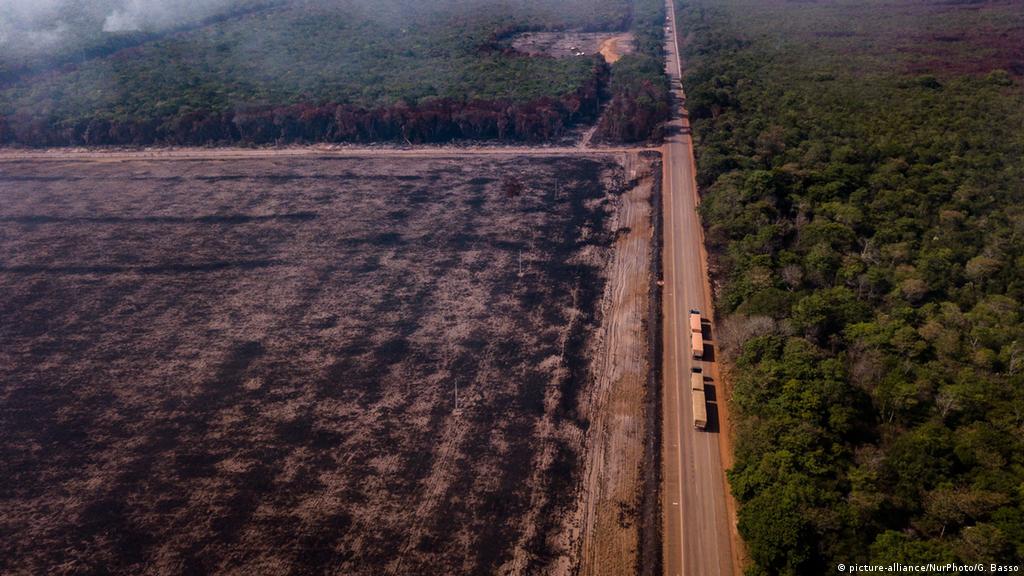 Brazil Amazon Rainforest Fires Surge In July News Dw 02 08