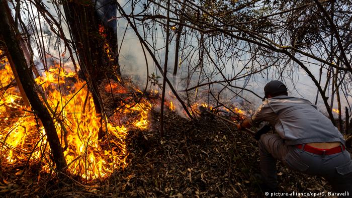 Brasilien Waldbrände