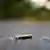 Foto simbólica de un casquillo de bala en el asfalto.