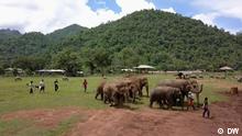 Thailand - Lek Chailert rettet Elefanten